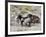 Group of Wild Horses, Cantering Across Sagebrush-Steppe, Adobe Town, Wyoming-Carol Walker-Framed Photographic Print