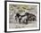 Group of Wild Horses, Cantering Across Sagebrush-Steppe, Adobe Town, Wyoming-Carol Walker-Framed Photographic Print