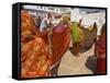 Group of Women Drying Their Saris by the Sacred Lake, Pushkar, Rajasthan State, India-Eitan Simanor-Framed Stretched Canvas