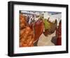 Group of Women Drying Their Saris by the Sacred Lake, Pushkar, Rajasthan State, India-Eitan Simanor-Framed Photographic Print