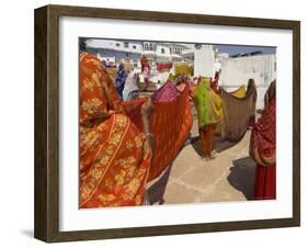 Group of Women Drying Their Saris by the Sacred Lake, Pushkar, Rajasthan State, India-Eitan Simanor-Framed Photographic Print