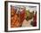 Group of Women Drying Their Saris by the Sacred Lake, Pushkar, Rajasthan State, India-Eitan Simanor-Framed Photographic Print