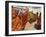 Group of Women Drying Their Saris by the Sacred Lake, Pushkar, Rajasthan State, India-Eitan Simanor-Framed Photographic Print