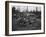 Group of Women with Rifles, 1930-Marvin Boland-Framed Giclee Print