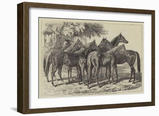 Group of Yearlings at Mr Blenkiron's Sale, Middle Park, Eltham, Kent-Samuel John Carter-Framed Giclee Print