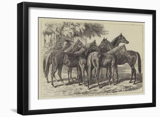 Group of Yearlings at Mr Blenkiron's Sale, Middle Park, Eltham, Kent-Samuel John Carter-Framed Giclee Print