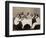 Group of Young Chinese Men Having Lunch-null-Framed Photographic Print