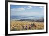 Group of young people enjoying a picnic on the Port Hills, Christchurch, Canterbury, South Island, -Ruth Tomlinson-Framed Photographic Print