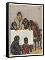 "Group of Young Primates", Young Monkeys and Children-E. Yarrow-Framed Stretched Canvas