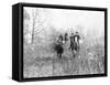 Group on Horseback During a Fox Hunt Photograph - Virginia-Lantern Press-Framed Stretched Canvas