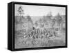 Group Photo of the 170th New York Infantry During the American Civil War-Stocktrek Images-Framed Stretched Canvas