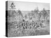 Group Photo of the 170th New York Infantry During the American Civil War-Stocktrek Images-Stretched Canvas