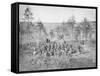 Group Photo of the 170th New York Infantry During the American Civil War-Stocktrek Images-Framed Stretched Canvas