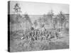 Group Photo of the 170th New York Infantry During the American Civil War-Stocktrek Images-Stretched Canvas