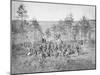 Group Photo of the 170th New York Infantry During the American Civil War-Stocktrek Images-Mounted Photographic Print