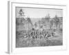 Group Photo of the 170th New York Infantry During the American Civil War-Stocktrek Images-Framed Photographic Print