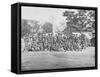 Group Photo of the 44th Indiana Infantry During the American Civil War-Stocktrek Images-Framed Stretched Canvas