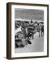Group Shot of Reindeer Standing in Snow-Carl Mydans-Framed Photographic Print