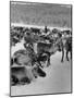 Group Shot of Reindeer Standing in Snow-Carl Mydans-Mounted Photographic Print