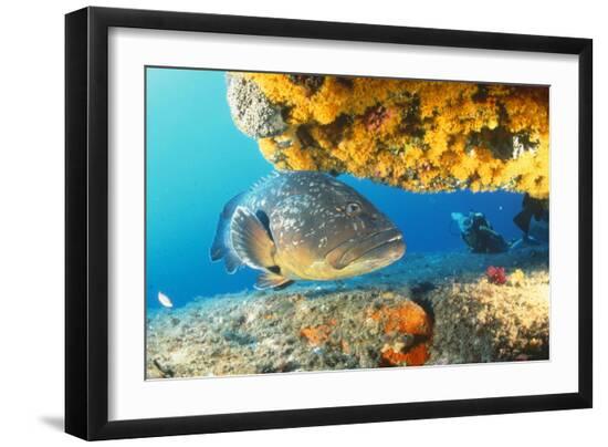Premium Photographic Print, , large