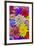 Grouping of colorful flower pattern-Darrell Gulin-Framed Photographic Print