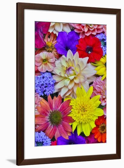 Grouping of colorful flower pattern-Darrell Gulin-Framed Photographic Print