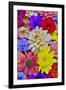 Grouping of colorful flower pattern-Darrell Gulin-Framed Photographic Print