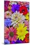 Grouping of colorful flower pattern-Darrell Gulin-Mounted Photographic Print