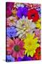 Grouping of colorful flower pattern-Darrell Gulin-Stretched Canvas