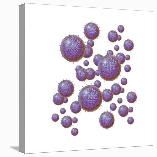 Grouping of Virus Particles-null-Stretched Canvas