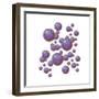 Grouping of Virus Particles-null-Framed Premium Giclee Print