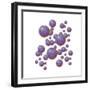 Grouping of Virus Particles-null-Framed Premium Giclee Print