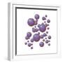 Grouping of Virus Particles-null-Framed Premium Giclee Print