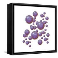 Grouping of Virus Particles-null-Framed Stretched Canvas