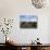 Groups of Shetland Ponies Graze the Moors of Yell, Shetlands, Scotland, United Kingdom-Lousie Murray-Photographic Print displayed on a wall