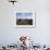 Groups of Shetland Ponies Graze the Moors of Yell, Shetlands, Scotland, United Kingdom-Lousie Murray-Framed Photographic Print displayed on a wall