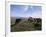 Groups of Shetland Ponies Graze the Moors of Yell, Shetlands, Scotland, United Kingdom-Lousie Murray-Framed Photographic Print