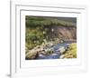 Grouse by a Moorland Stream-Rodger McPhail-Framed Limited Edition