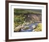 Grouse by a Moorland Stream-Rodger McPhail-Framed Limited Edition