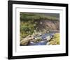 Grouse by a Moorland Stream-Rodger McPhail-Framed Limited Edition