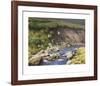 Grouse by a Moorland Stream-Rodger McPhail-Framed Limited Edition