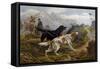 Grouse Hunting, 1880-Basil Bradley-Framed Stretched Canvas