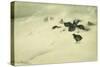 Grouse in a Snow Storm, 1890-Bruno Andreas Liljefors-Stretched Canvas