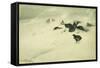Grouse in a Snow Storm, 1890-Bruno Andreas Liljefors-Framed Stretched Canvas