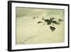 Grouse in a Snow Storm, 1890-Bruno Andreas Liljefors-Framed Giclee Print