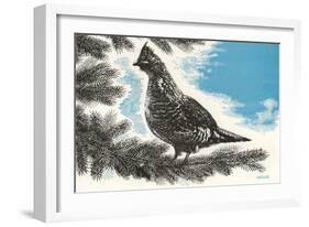 Grouse in Fir Tree-null-Framed Art Print