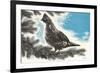 Grouse in Fir Tree-null-Framed Art Print