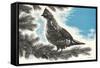 Grouse in Fir Tree-null-Framed Stretched Canvas