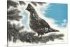 Grouse in Fir Tree-null-Stretched Canvas