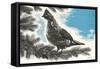 Grouse in Fir Tree-null-Framed Stretched Canvas